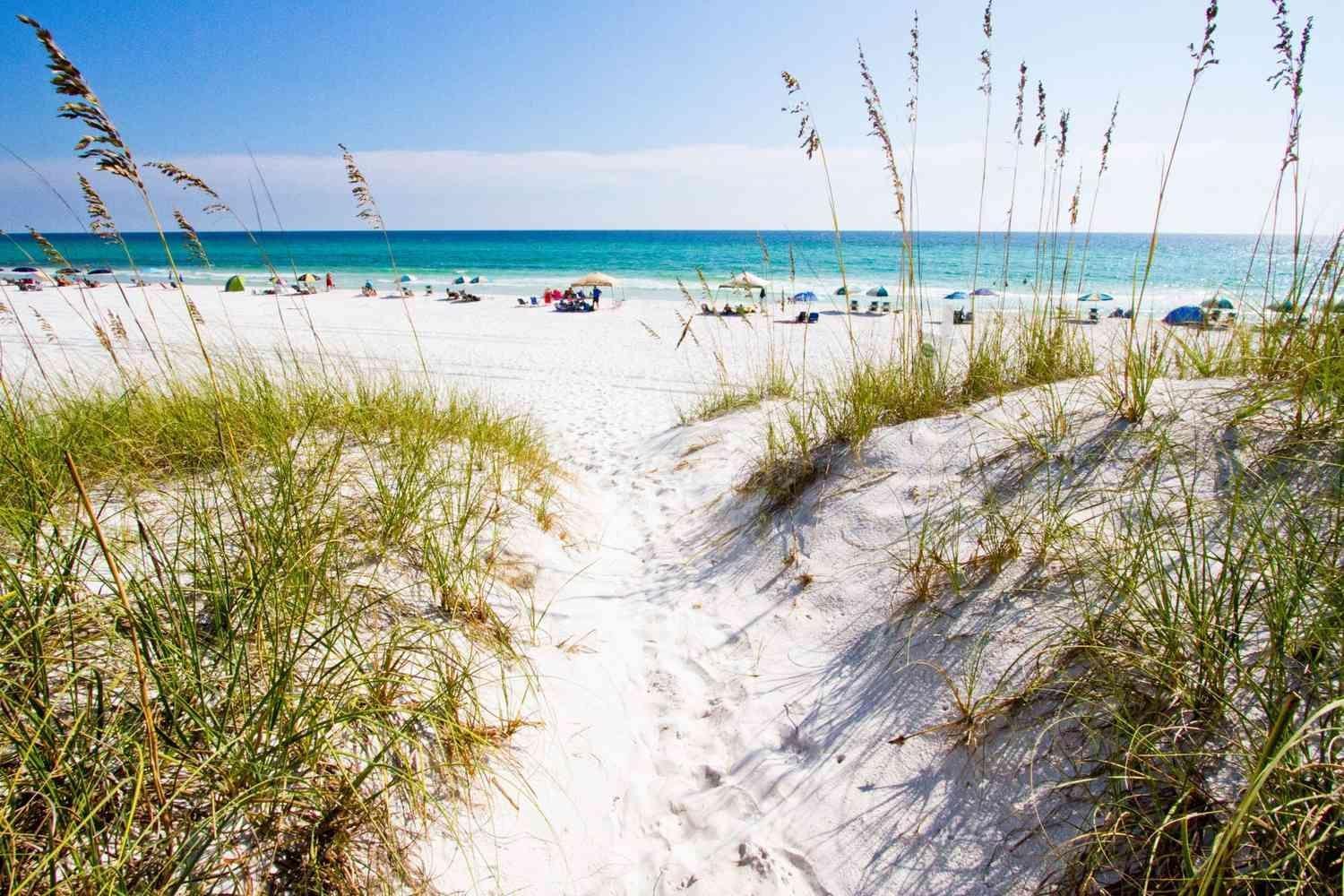 Seas The Day Home Santa Rosa Beach Ngoại thất bức ảnh